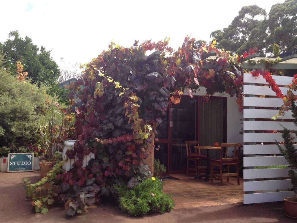 Forest Retreat Bed And Breakfast Margaret River Buitenkant foto